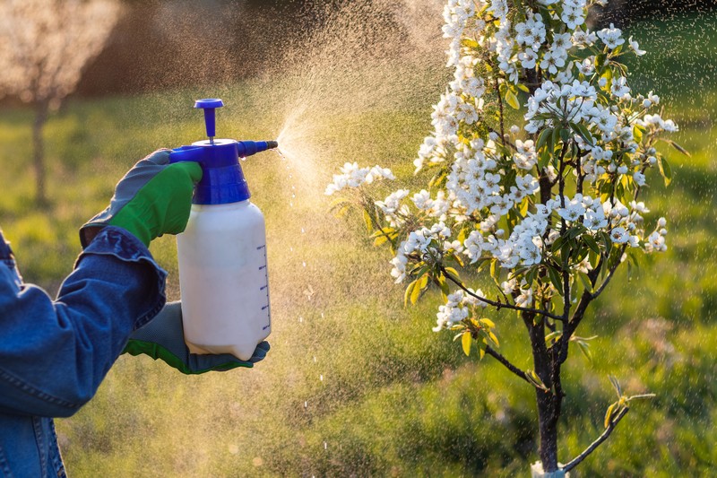 Herbicide-Application-Auburn-WA