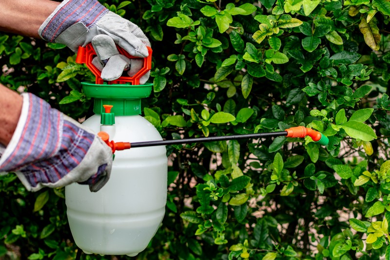 Herbicide-Auburn-WA